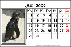 6-Juni-2009-quer.jpg